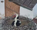 Capi_Dubne_20250501_093503.jpg