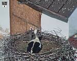 Capi_Dubne_20250501_102003.jpg