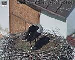 Capi_Dubne_20250501_103503.jpg