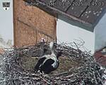 Capi_Dubne_20250501_104503.jpg
