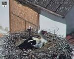 Capi_Dubne_20250501_124003.jpg