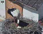 Capi_Dubne_20250501_125003.jpg