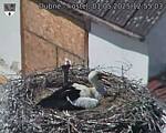 Capi_Dubne_20250501_125503.jpg
