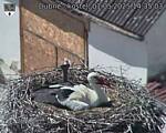 Capi_Dubne_20250501_143503.jpg