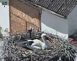 Capi_Dubne_20250501_145502.jpg