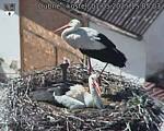 Capi_Dubne_20250501_150503.jpg