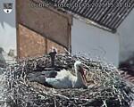 Capi_Dubne_20250501_153002.jpg