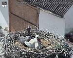 Capi_Dubne_20250501_155003.jpg