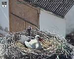 Capi_Dubne_20250501_161002.jpg
