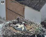 Capi_Dubne_20250501_163503.jpg