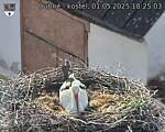 Capi_Dubne_20250501_182503.jpg