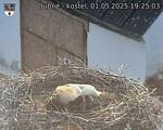 Capi_Dubne_20250501_192503.jpg