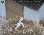 Capi_Dubne_20250501_193002.jpg
