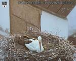 Capi_Dubne_20250501_195003.jpg