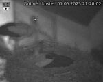 Capi_Dubne_20250501_212002.jpg