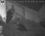 Capi_Dubne_20250501_213003.jpg