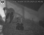 Capi_Dubne_20250501_214502.jpg
