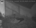Capi_Dubne_20250501_233503.jpg