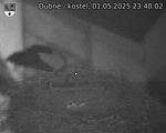 Capi_Dubne_20250501_234002.jpg