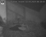 Capi_Dubne_20250502_002003.jpg