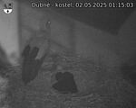 Capi_Dubne_20250502_011503.jpg