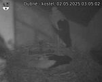 Capi_Dubne_20250502_030502.jpg