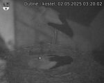 Capi_Dubne_20250502_032002.jpg