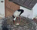 Capi_Dubne_20250502_084003.jpg