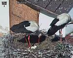 Capi_Dubne_20250502_102502.jpg