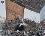 Capi_Dubne_20250502_103503.jpg