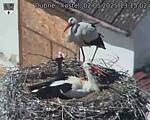 Capi_Dubne_20250502_131502.jpg