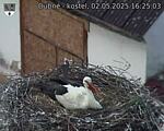 Capi_Dubne_20250502_162503.jpg