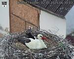 Capi_Dubne_20250502_163003.jpg