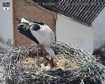 Capi_Dubne_20250502_164003.jpg