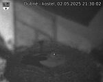 Capi_Dubne_20250502_213002.jpg