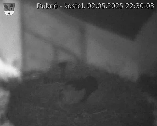 Capi_Dubne_20250502_223003.jpg (1350 x 1080)