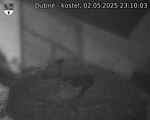 Capi_Dubne_20250502_231003.jpg