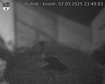 Capi_Dubne_20250502_234003.jpg