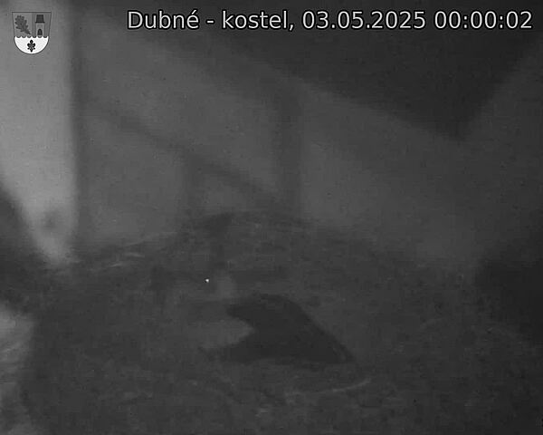 Capi_Dubne_20250503_000002.jpg (1350 x 1080)
