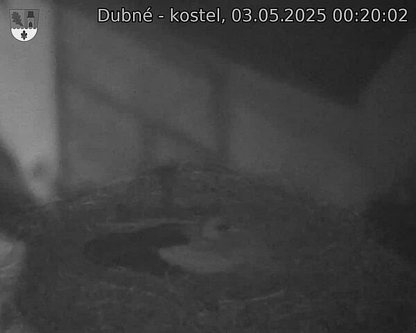 Capi_Dubne_20250503_002002.jpg (1350 x 1080)