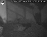 Capi_Dubne_20250503_014002.jpg