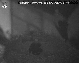 Capi_Dubne_20250503_020003.jpg (1350 x 1080)