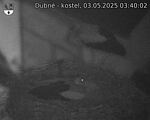 Capi_Dubne_20250503_034002.jpg
