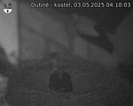 Capi_Dubne_20250503_041003.jpg