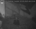 Capi_Dubne_20250503_041502.jpg