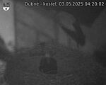 Capi_Dubne_20250503_042002.jpg