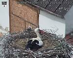 Capi_Dubne_20250503_121503.jpg