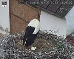 Capi_Dubne_20250503_132502.jpg