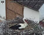 Capi_Dubne_20250503_134003.jpg