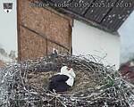 Capi_Dubne_20250503_142003.jpg